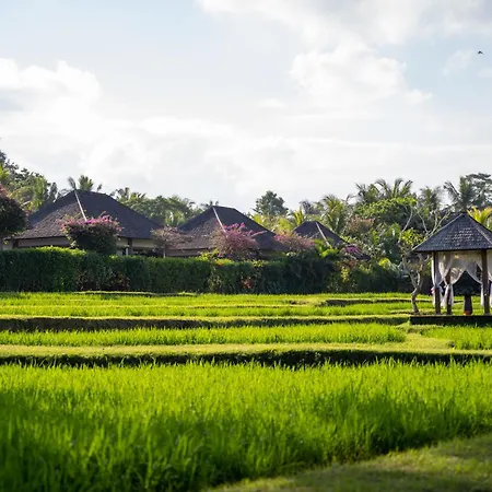 Visesa Ubud Villa And Resort-2